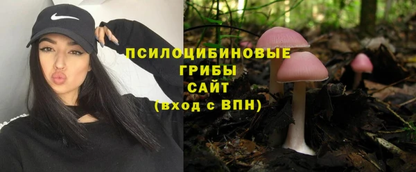 молекула духа Балабаново