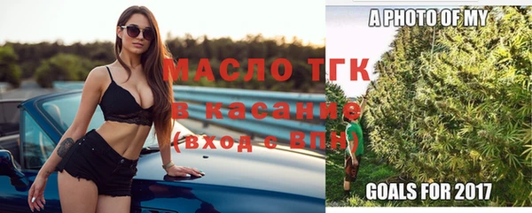гашик Арсеньев