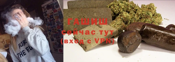 хмурый Аркадак